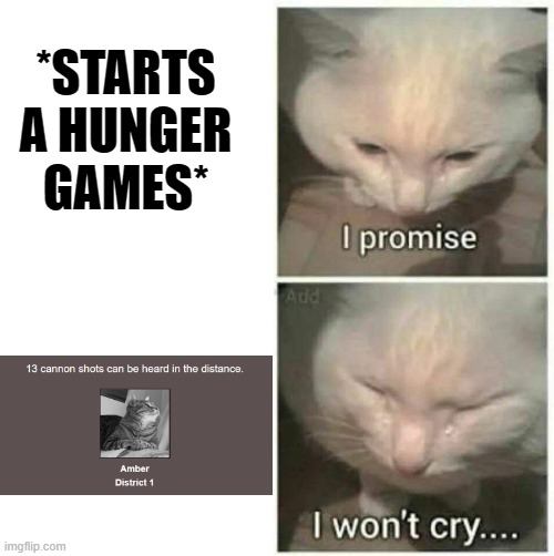 I promise I won't cry | *STARTS A HUNGER GAMES* | image tagged in i promise i won't cry | made w/ Imgflip meme maker