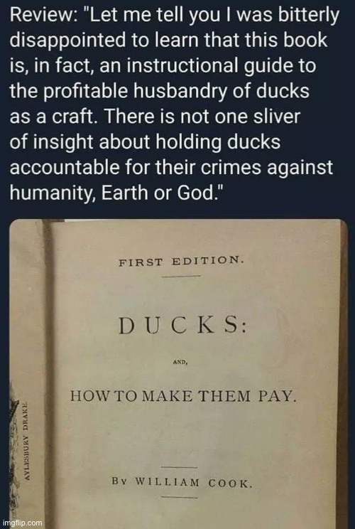 Ducks: How To Make Them Pay | image tagged in ducks how to make them pay,ducks,duck,repost,books,book | made w/ Imgflip meme maker