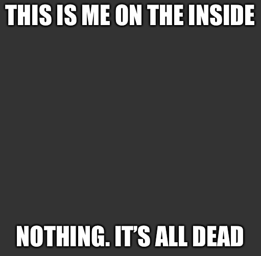 Grey Box (troll for darkmode users) | THIS IS ME ON THE INSIDE; NOTHING. IT’S ALL DEAD | image tagged in grey box troll for darkmode users | made w/ Imgflip meme maker