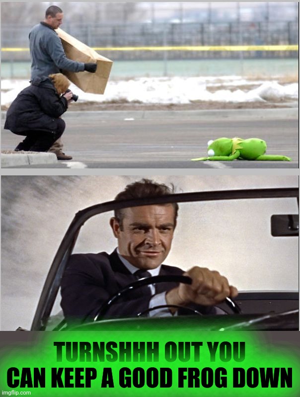 kermit v sean | TURNSHHH OUT YOU CAN KEEP A GOOD FROG DOWN | image tagged in kermit v sean | made w/ Imgflip meme maker