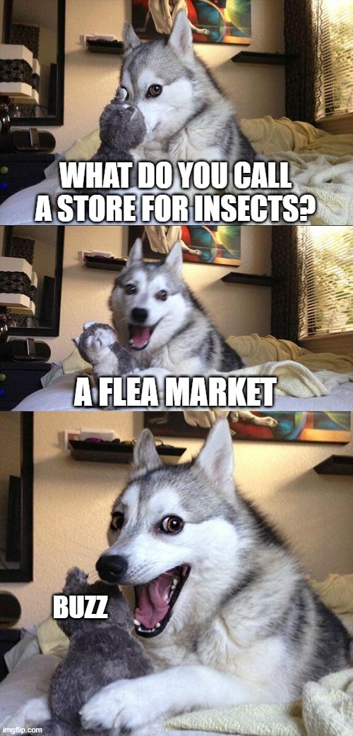 Bad Pun Dog | WHAT DO YOU CALL A STORE FOR INSECTS? A FLEA MARKET; BUZZ | image tagged in memes,bad pun dog | made w/ Imgflip meme maker