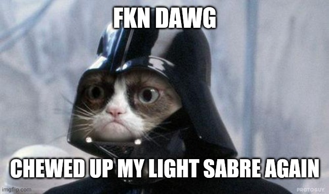 Grumpy Cat Star Wars | FKN DAWG; CHEWED UP MY LIGHT SABRE AGAIN | image tagged in memes,grumpy cat star wars,grumpy cat | made w/ Imgflip meme maker
