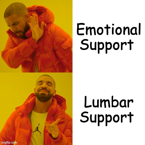 Support... | Emotional Support; Lumbar Support | image tagged in memes,drake hotline bling,funny,support | made w/ Imgflip meme maker