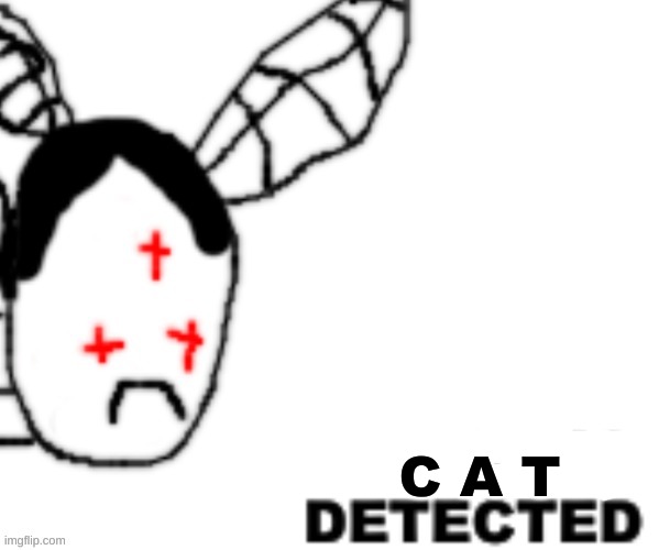 BLANK DETECTED | C A T | image tagged in blank detected | made w/ Imgflip meme maker