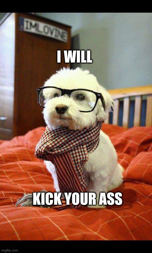 Intelligent Dog | I WILL; KICK YOUR ASS | image tagged in memes,intelligent dog | made w/ Imgflip meme maker