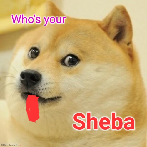 Sheba | Who's your; Sheba | image tagged in memes,doge | made w/ Imgflip meme maker