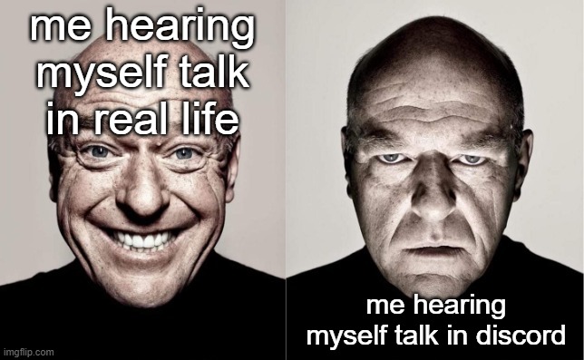 no | me hearing myself talk in real life; me hearing myself talk in discord | image tagged in hank | made w/ Imgflip meme maker
