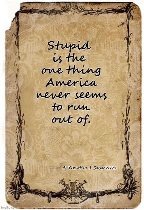 Plenty to go 'round. | Stupid 
is the 
one thing
 America 
never seems
 to run 
out of. © Timothy J. Sabo/2021 | image tagged in stupid,america,supply,no shortage | made w/ Imgflip meme maker