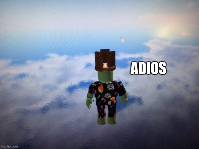 Srry, no text | ADIOS | image tagged in roblox adios | made w/ Imgflip meme maker