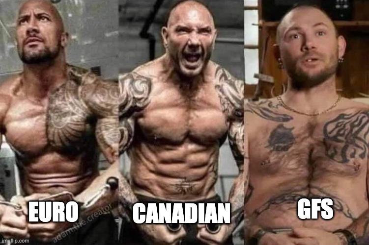 Weather Models be like... | GFS; CANADIAN; EURO | image tagged in rock bautista tiger king,gfs,canadian,euro,tornado,weather | made w/ Imgflip meme maker
