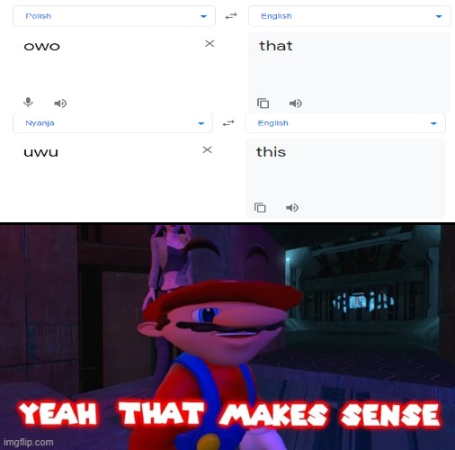 Mario that make sense | image tagged in mario that make sense,memes,funny,google translate,owo,uwu | made w/ Imgflip meme maker