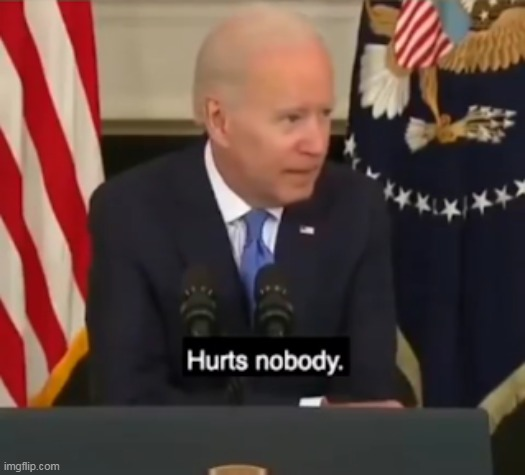 Biden Hurts Nobody Blank Meme Template