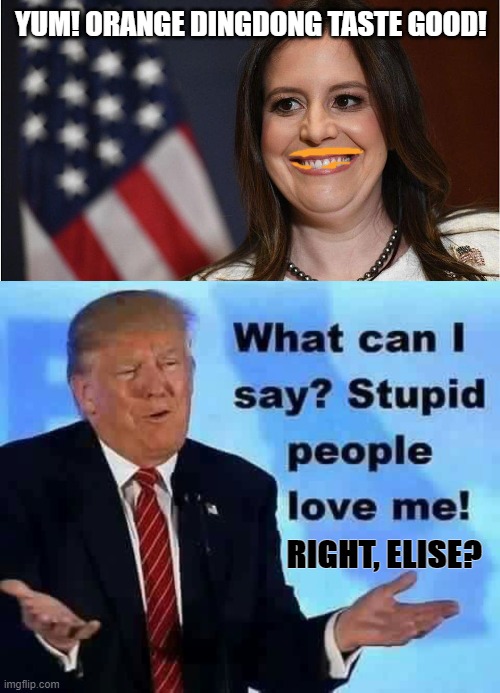 Elise can't quit orange man | YUM! ORANGE DINGDONG TASTE GOOD! RIGHT, ELISE? | image tagged in congress,republican,stupid,orange,trump,sucker | made w/ Imgflip meme maker