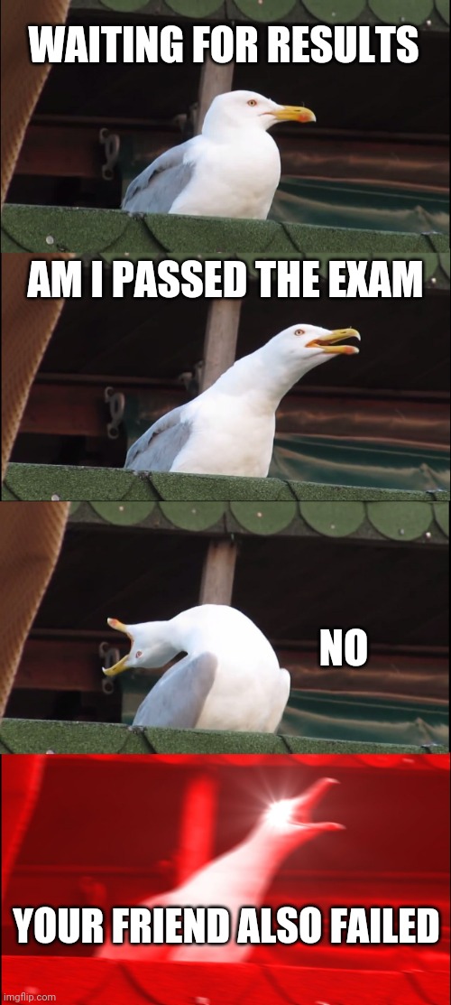 Inhaling Seagull | WAITING FOR RESULTS; AM I PASSED THE EXAM; NO; YOUR FRIEND ALSO FAILED | image tagged in memes,inhaling seagull | made w/ Imgflip meme maker