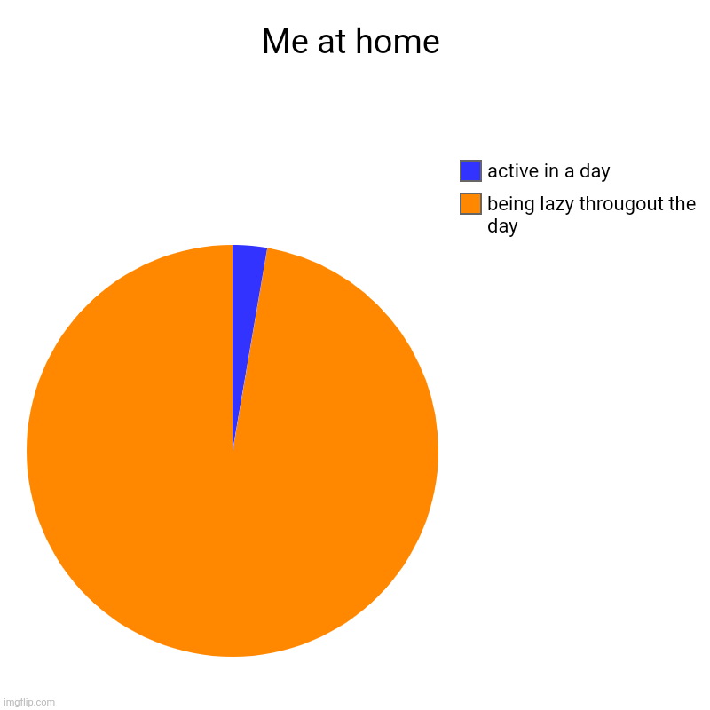 Me at home | being lazy througout the day, active in a day | image tagged in charts,pie charts | made w/ Imgflip chart maker