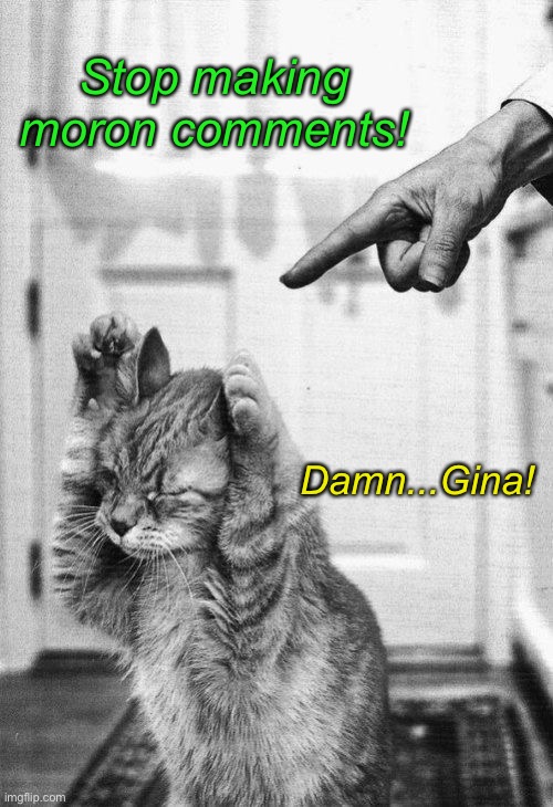 Stop making moron comments! Damn...Gina! | made w/ Imgflip meme maker