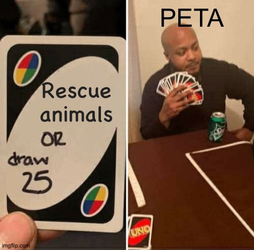 They're doing it wrong | PETA; Rescue animals | image tagged in memes,uno draw 25 cards,funny,peta,funny memes,dank memes | made w/ Imgflip meme maker
