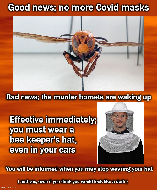 Covid disappears murder hornets wake up | Good news; no more Covid masks; Bad news; the murder hornets are waking up; Effective immediately; 
you must wear a 
bee keeper's hat, 
even in your cars; You will be informed when you may stop wearing your hat; ( and yes, even if you think you would look like a dork ) | image tagged in murder hornets | made w/ Imgflip meme maker
