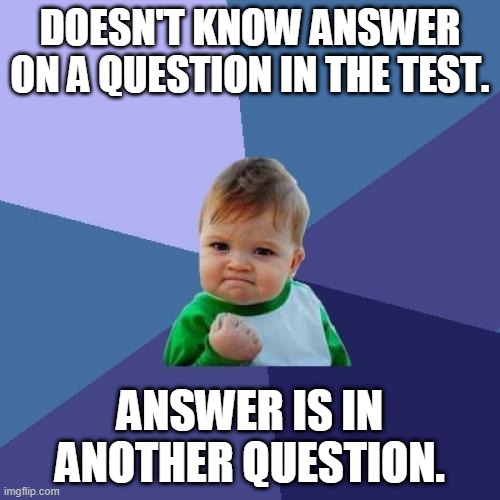 Success Kid Meme | DOESN'T KNOW ANSWER ON A QUESTION IN THE TEST. ANSWER IS IN ANOTHER QUESTION. | image tagged in memes,success kid | made w/ Imgflip meme maker