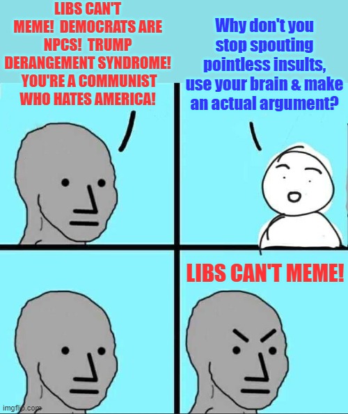 404 brain not found | LIBS CAN'T MEME!  DEMOCRATS ARE NPCS!  TRUMP DERANGEMENT SYNDROME!  YOU'RE A COMMUNIST WHO HATES AMERICA! Why don't you stop spouting pointless insults, use your brain & make an actual argument? LIBS CAN'T MEME! | image tagged in angry npc,insults,debate,cognitive dissonance | made w/ Imgflip meme maker