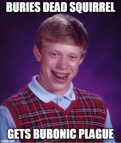 Bad Luck Brian | BURIES DEAD SQUIRREL; GETS BUBONIC PLAGUE | image tagged in memes,bad luck brian | made w/ Imgflip meme maker