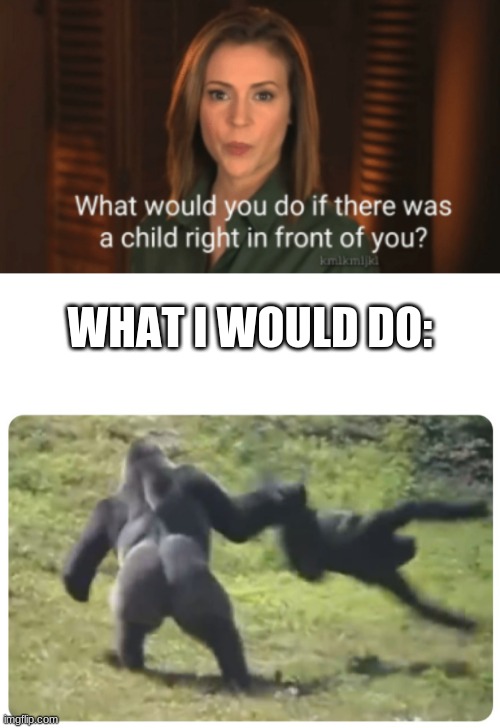 What would you do? | WHAT I WOULD DO: | image tagged in monkey,lol | made w/ Imgflip meme maker