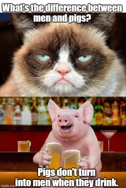 Don't turn into men | What's the difference between 
men and pigs? Pigs don't turn into men when they drink. | image tagged in grumpy cat | made w/ Imgflip meme maker