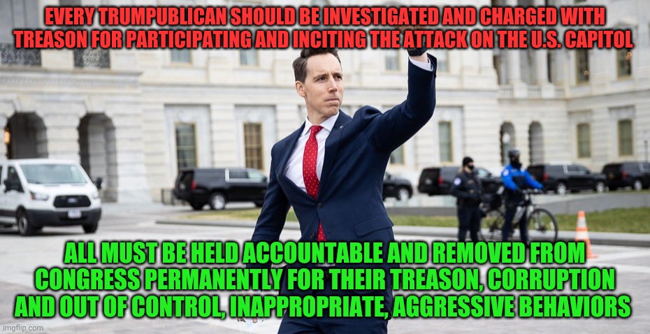 Traitor Josh Hawley | EVERY TRUMPUBLICAN SHOULD BE INVESTIGATED AND CHARGED WITH TREASON FOR PARTICIPATING AND INCITING THE ATTACK ON THE U.S. CAPITOL; ALL MUST BE HELD ACCOUNTABLE AND REMOVED FROM CONGRESS PERMANENTLY FOR THEIR TREASON, CORRUPTION AND OUT OF CONTROL, INAPPROPRIATE, AGGRESSIVE BEHAVIORS | image tagged in traitor josh hawley | made w/ Imgflip meme maker