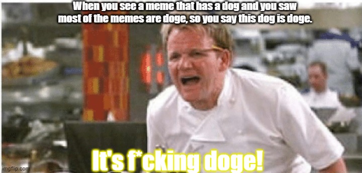 To much doge | When you see a meme that has a dog and you saw most of the memes are doge, so you say this dog is doge. It's f*cking doge! | image tagged in doge,screaming,scream,memes,help me | made w/ Imgflip meme maker