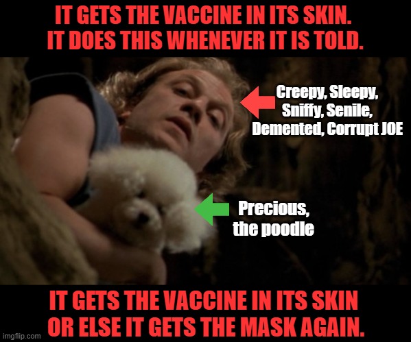 ya gotta love the gender-neutral pronouns though, right? | IT GETS THE VACCINE IN ITS SKIN. 
IT DOES THIS WHENEVER IT IS TOLD. Creepy, Sleepy, Sniffy, Senile, Demented, Corrupt JOE; Precious, the poodle; IT GETS THE VACCINE IN ITS SKIN 
OR ELSE IT GETS THE MASK AGAIN. | image tagged in silence of the lambs lotion,creepy joe biden,masks,fear,msm lies,sheeple | made w/ Imgflip meme maker