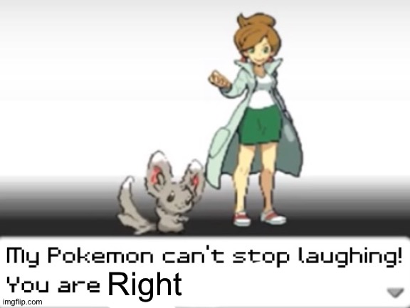 My Pokemon can't stop laughing! You are wrong! | Right | image tagged in my pokemon can't stop laughing you are wrong | made w/ Imgflip meme maker