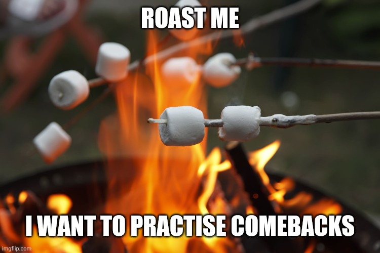 Roast me | ROAST ME; I WANT TO PRACTISE COMEBACKS | image tagged in roasting marshmellows | made w/ Imgflip meme maker