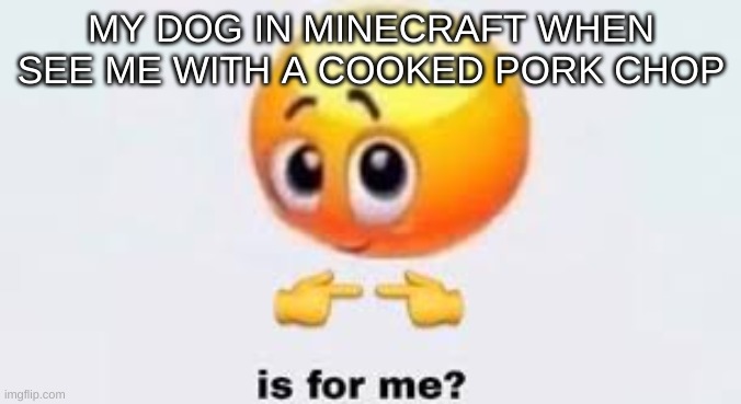 Is for me | MY DOG IN MINECRAFT WHEN SEE ME WITH A COOKED PORK CHOP | image tagged in is for me | made w/ Imgflip meme maker