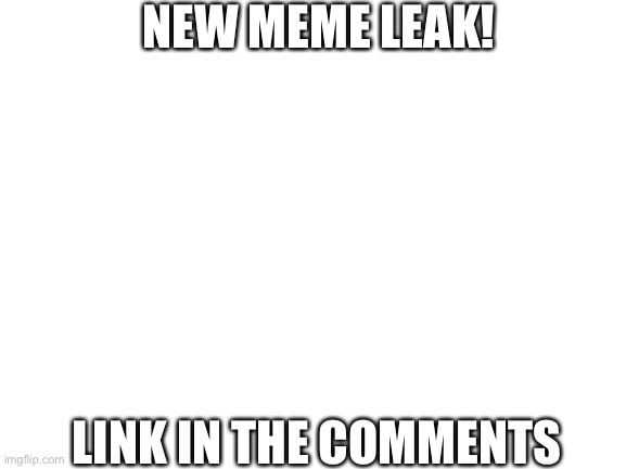 Blank White Template | NEW MEME LEAK! LINK IN THE COMMENTS | image tagged in blank white template | made w/ Imgflip meme maker