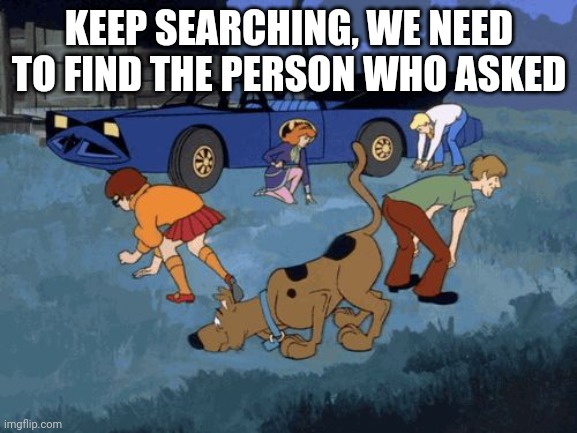 Scooby Doo Search | KEEP SEARCHING, WE NEED TO FIND THE PERSON WHO ASKED | image tagged in scooby doo search | made w/ Imgflip meme maker