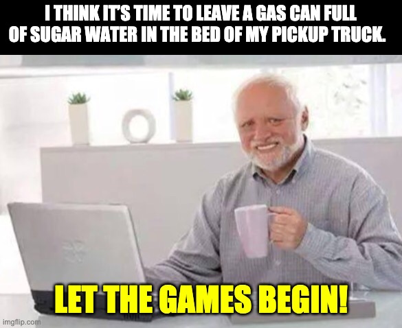 Let the games begin | I THINK IT’S TIME TO LEAVE A GAS CAN FULL OF SUGAR WATER IN THE BED OF MY PICKUP TRUCK. LET THE GAMES BEGIN! | image tagged in harold | made w/ Imgflip meme maker