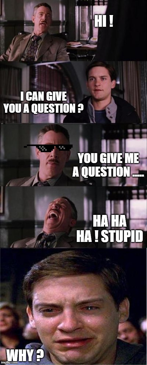 Peter Parker Cry | HI ! I CAN GIVE YOU A QUESTION ? YOU GIVE ME A QUESTION ..... HA HA HA ! STUPID; WHY ? | image tagged in memes,peter parker cry | made w/ Imgflip meme maker