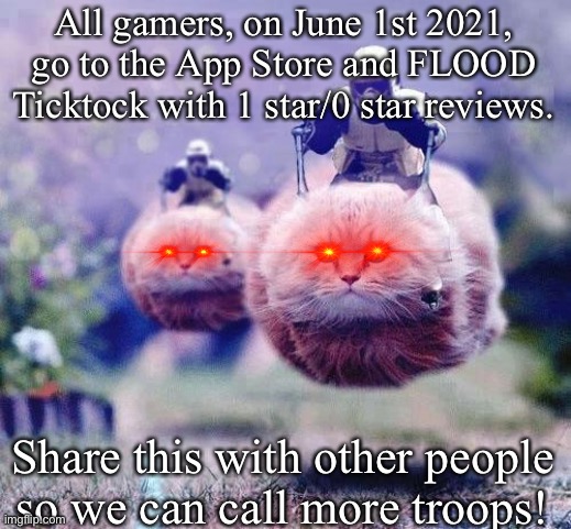 Storm Trooper Cats | All gamers, on June 1st 2021, go to the App Store and FLOOD Ticktock with 1 star/0 star reviews. Share this with other people so we can call more troops! | image tagged in storm trooper cats | made w/ Imgflip meme maker