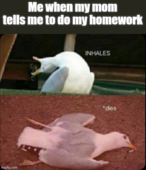 inhales dies bird | Me when my mom tells me to do my homework | image tagged in inhales dies bird,inhales,frickin' dieeeeees | made w/ Imgflip meme maker