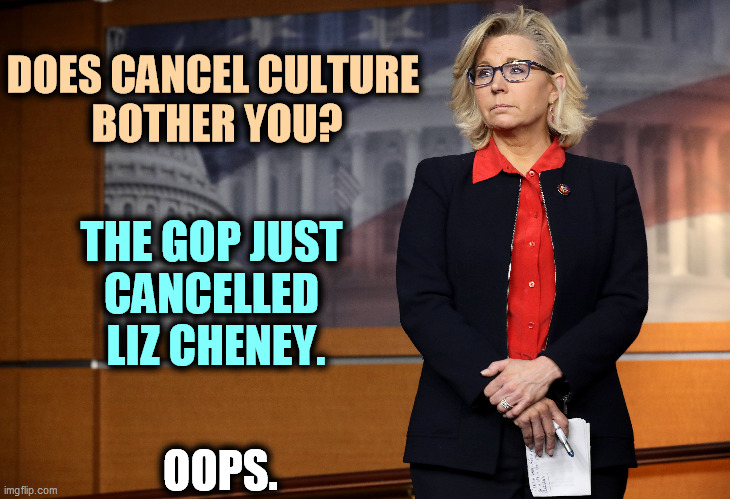 More Republican hypocrisy. | DOES CANCEL CULTURE 
BOTHER YOU? THE GOP JUST 
CANCELLED 
LIZ CHENEY. OOPS. | image tagged in cancel culture,republican,hypocrisy | made w/ Imgflip meme maker