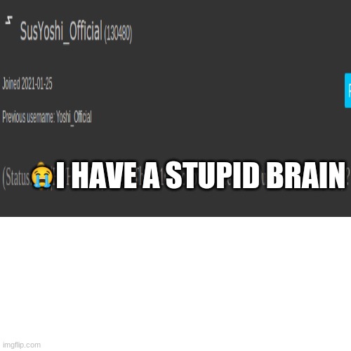 the truth about SusYoshi_Official. DON'T BAN IT ITS THE TRUTH NOT HARASSMENT yo what truth you looking for? | I HAVE A STUPID BRAIN; 😭 | image tagged in hes stupid,oh wow are you actually reading these tags,no,the person who made this must be the new mason | made w/ Imgflip meme maker