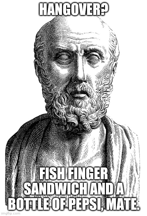 Hippocrates | HANGOVER? FISH FINGER SANDWICH AND A BOTTLE OF PEPSI, MATE. | image tagged in hippocrates | made w/ Imgflip meme maker