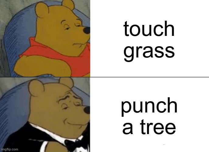 Tuxedo Winnie The Pooh Meme | touch grass; punch a tree | image tagged in memes,tuxedo winnie the pooh | made w/ Imgflip meme maker