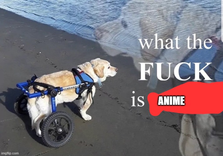 What the fuck is oatmeal | ANIME | image tagged in what the fuck is oatmeal | made w/ Imgflip meme maker