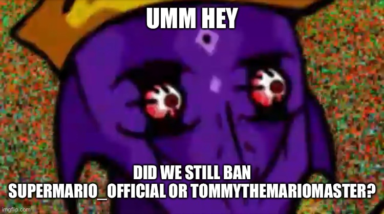 Fun fact: they’re the same person | UMM HEY; DID WE STILL BAN SUPERMARIO_OFFICIAL OR TOMMYTHEMARIOMASTER? | image tagged in starecrown stare | made w/ Imgflip meme maker