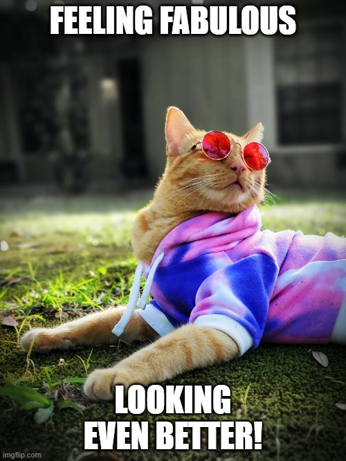 Fabulous Cat | FEELING FABULOUS; LOOKING EVEN BETTER! | image tagged in cats | made w/ Imgflip meme maker
