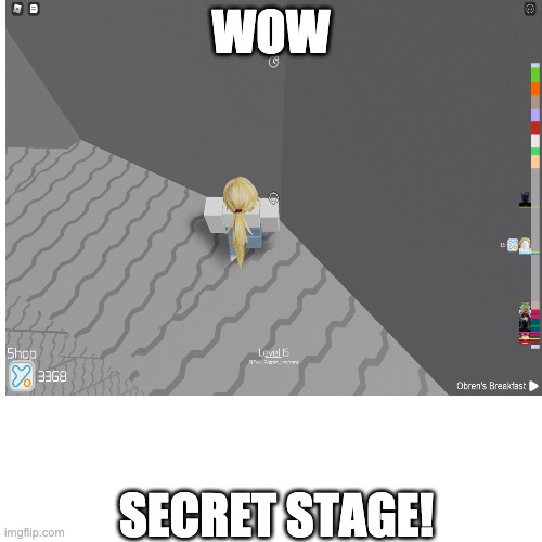 I found a secret stage (not my first time seing a secret stage) | WOW; SECRET STAGE! | image tagged in roblox,toh | made w/ Imgflip meme maker