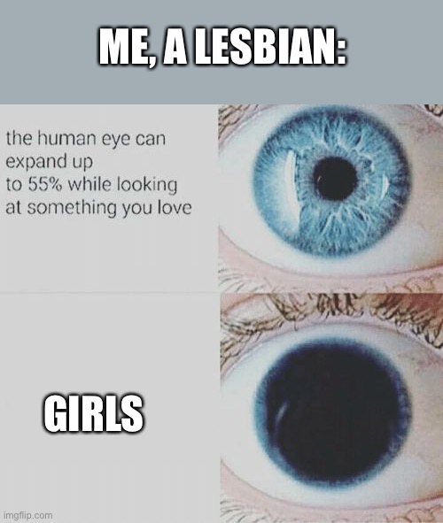 Eye pupil expand | ME, A LESBIAN:; GIRLS | image tagged in eye pupil expand | made w/ Imgflip meme maker