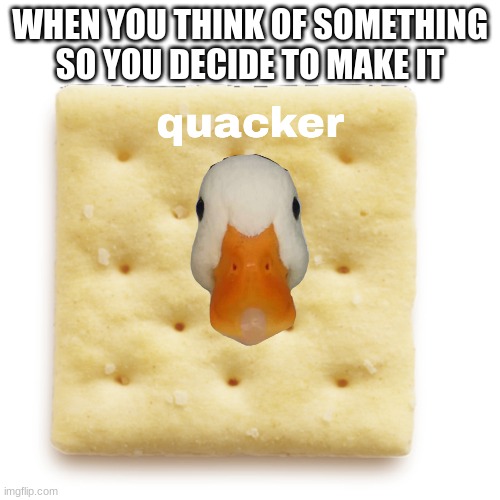 i think of weird things | WHEN YOU THINK OF SOMETHING SO YOU DECIDE TO MAKE IT | image tagged in quack,selfmadetemplates,funny,duck | made w/ Imgflip meme maker