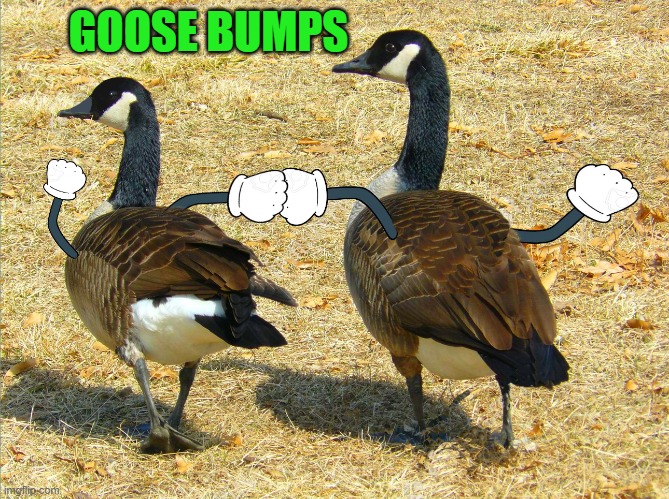 GOOSE BUMPS | made w/ Imgflip meme maker